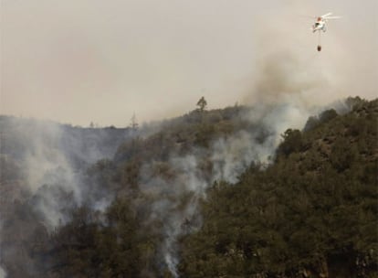 Un hidroavión intenta sofocar las llamas en la zona de la Hermigua (La Gomera).