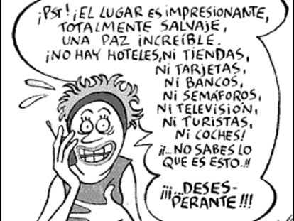 MAITENA