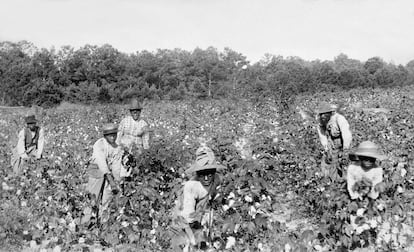 Treballadors a les plantacions de cotó de Savannah, Georgia, en una foto de Launey & Goebel