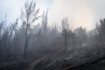Incendio Cerros Orientales, Cundinamarca