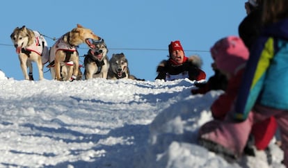 La competición está formada por varios 'mushers' que compiten con trineos formados por dieciséis perros. En la imagen, Aliy Zirkle con su equipo de perros, durante la ceremonia de salida de la Iditarod 2014, en Anchorage (Alaska), 1 de marzo de 2014.