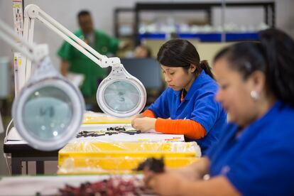 Trabajadoras dentro de una maquiladora en 2017, en Ciudad Juárez.