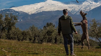 Un hombre pasea con su perro por las estribaciones de Sierra Nevada.