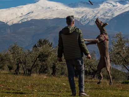 Un hombre pasea con su perro por las estribaciones de Sierra Nevada.