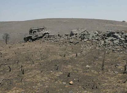 Un paraje arrasado por el incendio de Guadalajara, en julio de 2005.