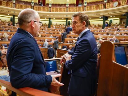 Miguel Tellado y Alberto Núñez Feijóo, este martes en el Congreso.