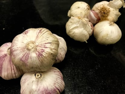 AJO VIOLETA CHINO (IZQUIERDA) Y MORADO TRSDICIONAL (DERECHA) / CAPEL