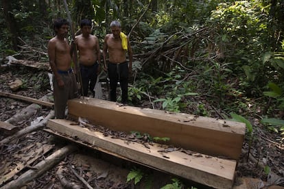 Tres yuquis encuentran un árbol ilegalmente talado y laminado dentro de su territorio TCO yuqui -CIRI. El TCO consiste en 125.000 hectáreas y conviven al menos tres pueblos indígenas diferentes en él: los yuquis, los yuracarés y los trinitarios. Existen 298 TCO (ahora llamados TIOC) en Bolivia y representan casi el 25% de la amazonia boliviana.