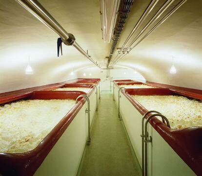 La sala de tinos de la fábrica de Ambar es una pieza única en España. Es la única en la que puede verse cómo trabaja la levadura en el proceso de fermentación.