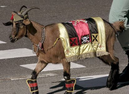 La cabra mascota de La Legión durante el desfile militar del Día de la Fiesta Nacional que presiden hoy los Reyes en el Paseo de la Castellana de Madrid.