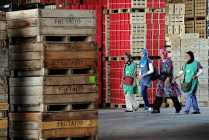 Mujeres musulmanas, ayer al inicio de su jornada laboral en la  cooperativa Rutaito de Aitona de Lleida.