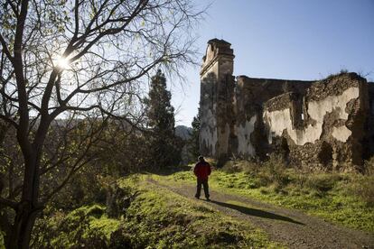 Restos del lagar de Jotrón.