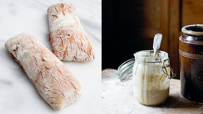 Libros para comprender el proceso de fermentación del pan