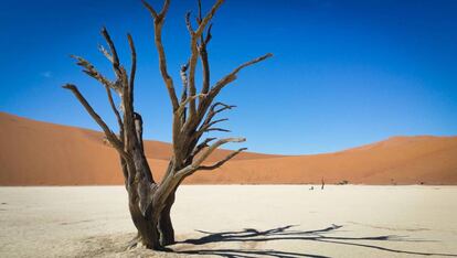 Dead Vlei, el cementerio de árboles en el desierto del Namib.