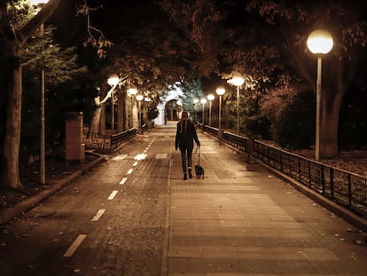 Una joven pasea su perro por la calle de una ciudad.