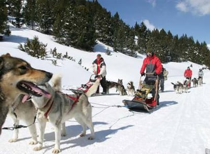 El <i>mushing,</i> rutas en trineos tirados por perros, es una de las actividades que ofrece Grandvalira (Andorra).