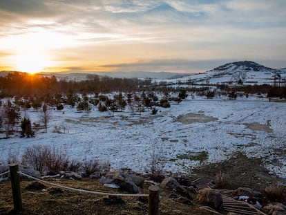 Amanecer helado en el parque botánico de Olarizu de Vitoria el pasado 8 de enero de 2021, día en el que hubo una mínima de -6,1° a las nueve de la mañana en el aeropuerto de la capital vasca.