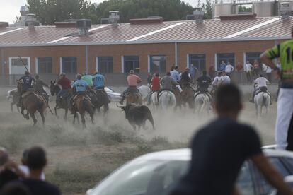 Celebración del nuevo Toro de la Vega en Tordesillas, Valladolid, en 2023.