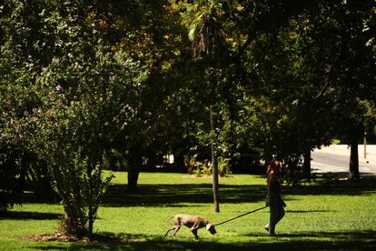 Un perro y su dueña, en el parque del Oeste.