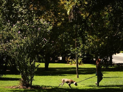 Un perro y su due&ntilde;a, en el parque del Oeste. 