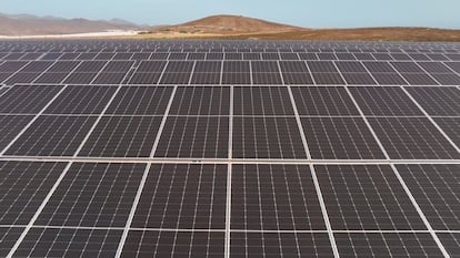 Planta fotovoltaica Telde IV, de Naturgy, en Gran Canaria. (foto cedida por la compañía)