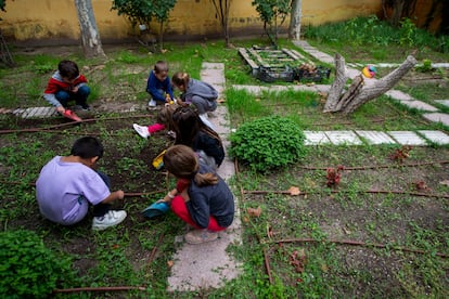 Varios alumnos aprenden y trabajan en el huerto del CEIP Enrique Tierno Galván, en San Sebastián de los Reyes, Comunida de Madrid. 