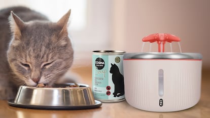 ¿Cómo hidratar a mi gato? Elige productos refrescantes para tu felino en Zooplus.