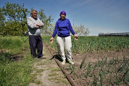 Olga Muja, de 66 años, junto a un vecino en el huerto de su casa de la aldea de Ostriv (provincia de Dnipropetrovsk), a orillas del río Dniéper y frente a la central nuclear de Zaporiyia, ocupada por los rusos desde marzo de 2022.