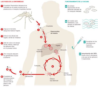 Fuente: Science y elaboración propia.