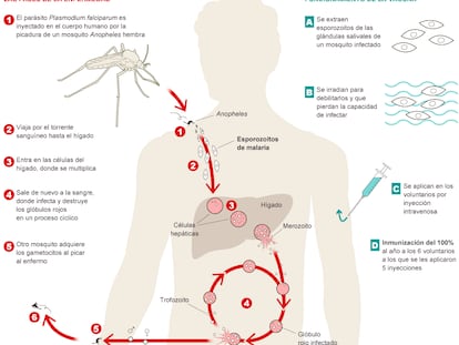 Fuente: Science y elaboración propia.