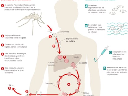 Fuente: Science y elaboración propia.