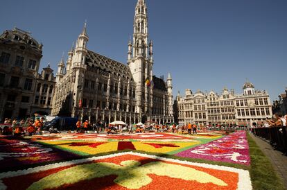 Una alfombra floral de 1.680 metros cuadrados compuesta por begonias, dalias, hierba y corteza cubren la Grand-Place de Bruselas (Bélgica) este viernes. El evento Flower Crpet, que fue cancelado los dos últimos años por la pandemia, tiene lugar cada dos veranos el fin de semana del 15 de agosto. 
