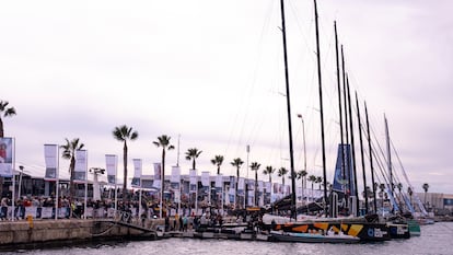 Veleros de la Ocean Race en el puerto de Alicante, en una imagen cedida por la organización.