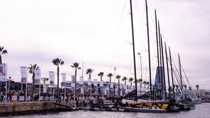 Veleros de la Ocean Race en el puerto de Alicante, en una imagen cedida por la organización.