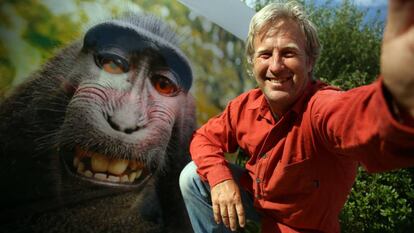 El fotógrafo David Slater junto al selfie del macaco Naruto.