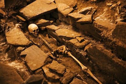 DNA identification of the remains of Bishop Teodomiro, founder of the Cathedral of Santiago.