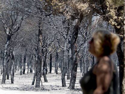 Una mujer observa las consecuencias del fuego en Do&ntilde;ana este verano.