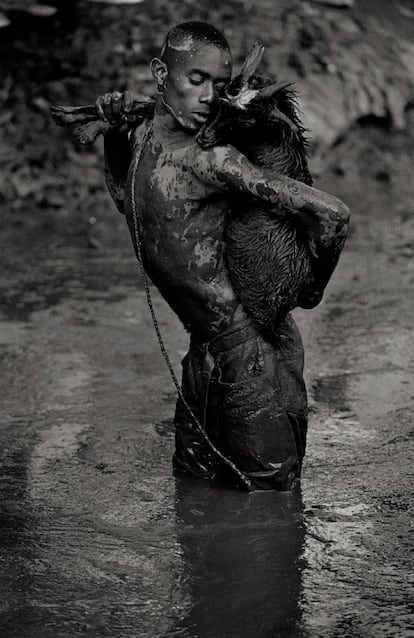 La fotógrafa manchega Cristina García Rodero capta en su obra la pasión y el alma de las regiones que visita. Su objetivo ha captado conflictos bélicos y sus efectos en Georgia y Armenia, la difícil realidad cotidiana de Cuba bajo los efectos del bloqueo comercial o los rituales del agua y el carnaval en Haití. Fue la primera mujer en trabajar para la prestigiosa agencia Magnum.