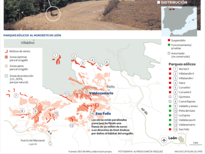 Paralización de las obras de un parque eólico en León