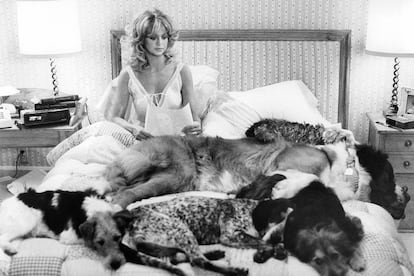 Goldie Hawn (y sus perros) en Parece que fue ayer (1980).