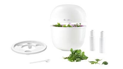 smart grow bosch, huertos domésticos, huerto bosch, bosch plantas, huertos domésticos de interior, cultivo inteligente, smart grow bosch descuento, bosch smart grow semillas