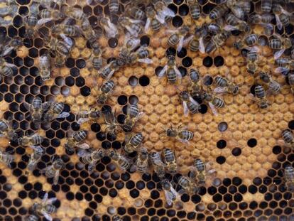 Diagramas de Voronoi