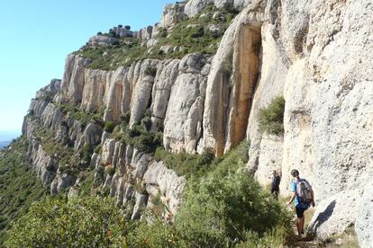 The ‘graus’ that crisscross the Montsant mountain range, such as l’Escletxa (above), are narrow trails with sudden ascents. The most vertiginous one is Barrots – 5.5 kilometers of moderate to difficult hiking – which follows terraces that cling to the rock faces overlooking the Priotat vineyards.