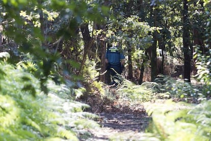 Civil Guard officers comb the area where Asunta's body was found.