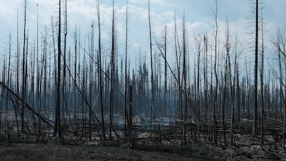 Smoke billows along the highway near Hay River, Northwest Territories, Canada August 17, 2023.