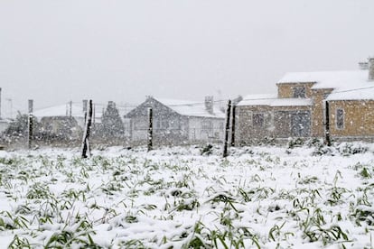 La nieve cubría hoy con su manto blanco la localidad lucense de Palas de Rei. La Consellería de Medio Ambiente, Territorio e Infraestruturas señala que un total de 30 equipos quitanieves están trabajando desde este domingo en la retirada de nieve