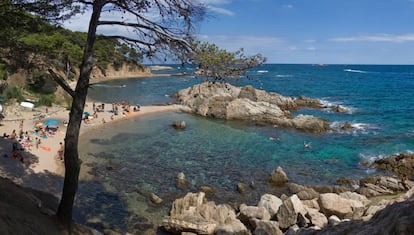 Añejo refugio de pescadores y contrabandistas —y excepcional zona para el chapoteo en aguas transparentes—, Estreta se asoma al final de un sendero embellecido con pinares, envuelta con todos los atributos de que la dotó el espacio de interés natural Castell-Cap Roig. En puridad, consta de tres pequeños recodos en los que imperan los fondos arenosos sobre la roca. Uno de ellos (en la foto) está resguardado por un tómbolo donde el agua se remansa y cuya ausencia de rocas y erizos lo hacen indicado para las familias. También conserva la barraca de pescadores. Enfrentadas a la cala, las islas Formigues son punto de encuentro de las sirenas en la noche de San Juan. Y perfecto para el descanso es el hotel La Malcontenta (lamalcontentahotel.com), donde alquilan bicicletas. <p><b>Acceso:</b> a partir de junio se impide el tráfico rodado a la Estreta y es preciso aparcar en la playa de Castell. En el asentamiento ibérico se toma el Camí de Ronda por espacio de 1,5 kilómetros (unos 40 minutos) hasta la Estreta.</p>