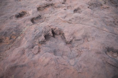 Estas impresiones encontradas en Bolivia fueron producidas por enormes reptiles lejanamente emparentados con los actuales cocodrilos, los rauisuquios.