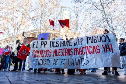 La manifestación frente a la Asamblea de Madrid ha sido convocada por la plataforma FP sin prácticas