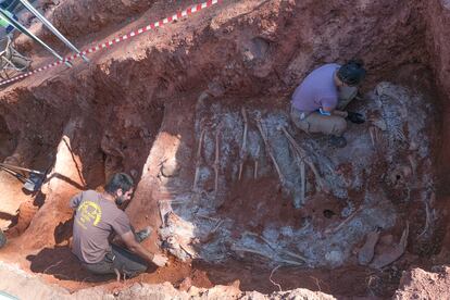 Técnicos trabajando en una de las fosas del cementerio de Ríotinto (Huelva). foto.ALEJANDRO RUESGA